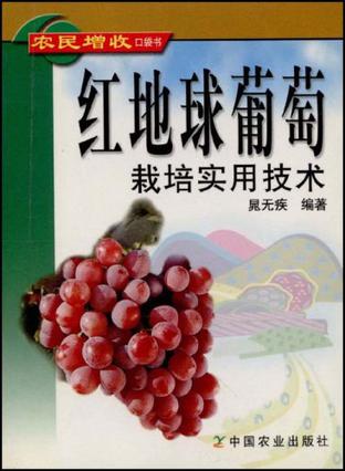 红地球葡萄栽培实用技