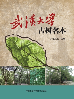 武汉大学古树名木