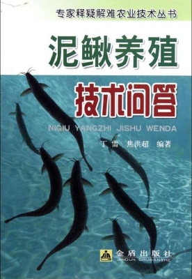 泥鳅技术问答