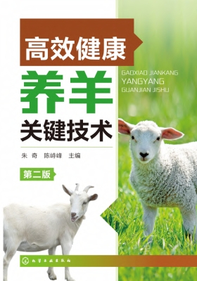 高效健康养羊关键技术