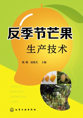 反季节芒果生产技术