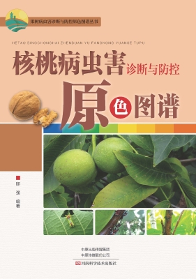 核桃病虫害诊断与防控