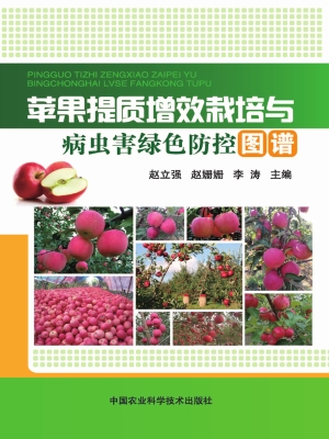 苹果提质增效栽培与病