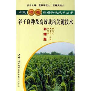 谷子良种及高效栽培关