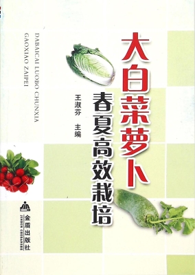 大白菜萝卜春夏高效栽