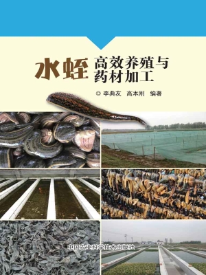 水蛭高效养殖与药材加