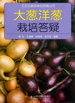 大葱洋葱栽培答疑