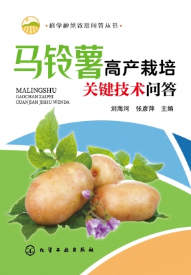 马铃薯高产栽培关键技