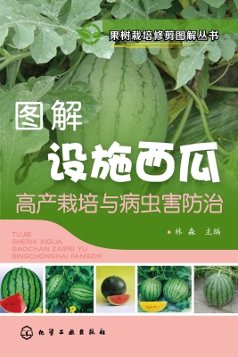 图解设施西瓜高产栽培