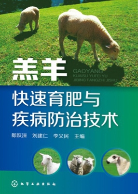 羔羊快速育肥与疾病防