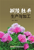 铜陵牡丹生产与加工