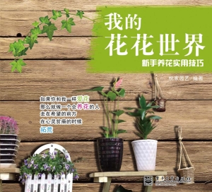 我的花花世界——新手