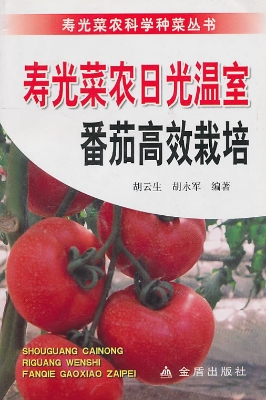 寿光菜农日光温室番茄