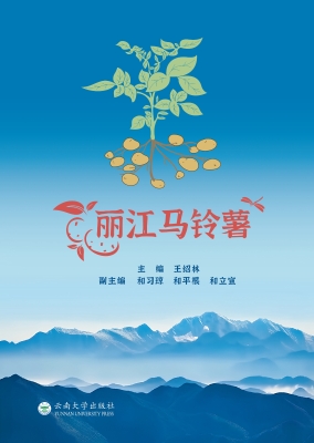 丽江马铃薯