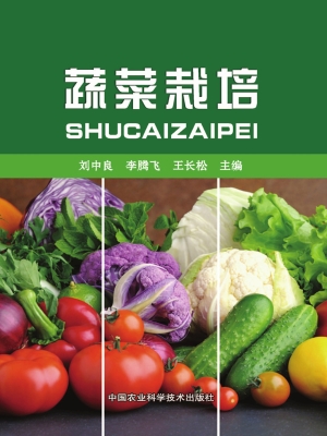 蔬菜栽培