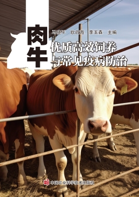 肉牛优质高效饲养与常