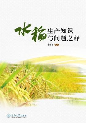 水稻生产知识与问题之