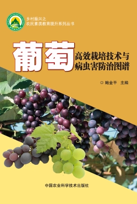 葡萄高效栽培技术与病