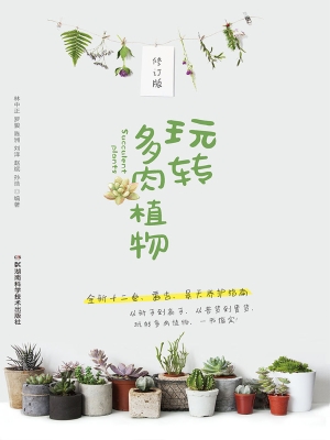 玩转多肉植物
