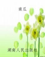 南瓜