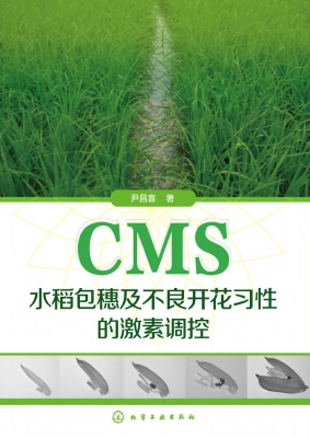 CMS水稻包穗及不良开