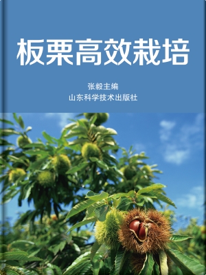 板栗高效栽培