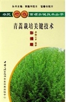 青蒿栽培关键技术