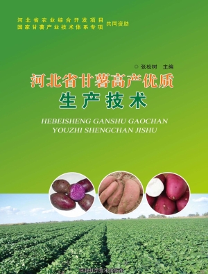 河北省甘薯高产优质生