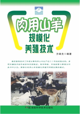 肉用山羊规模化养殖技