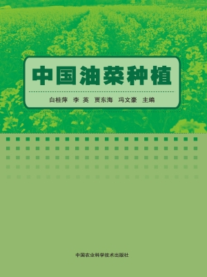 中国油菜种植