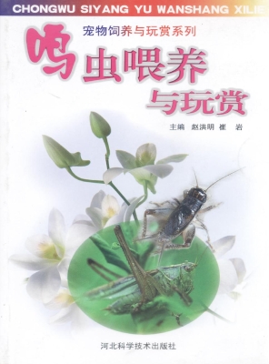 鸣虫喂养与玩赏