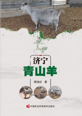 济宁青山羊