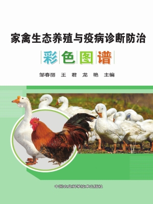 家禽生态养殖与疫病诊