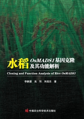 水稻OsMADS1基因克隆