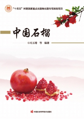中国石榴