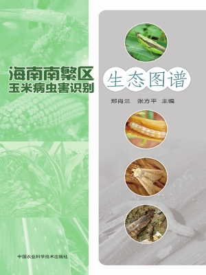 海南南繁区玉米病虫害