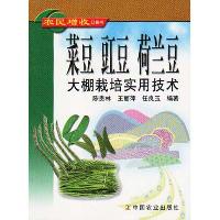 菜豆、豇豆、荷兰豆大