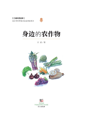 身边的农作物