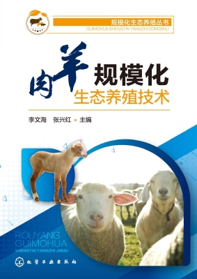 肉羊规模化生态养殖技