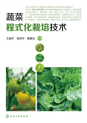蔬菜程式化栽培技术