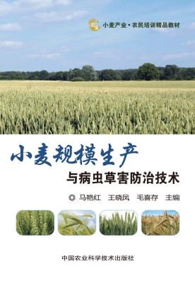 小麦规模生产与病虫草