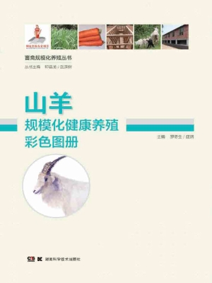 山羊规模化健康养殖彩
