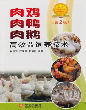 肉鸡 肉鸭 肉鹅高效益