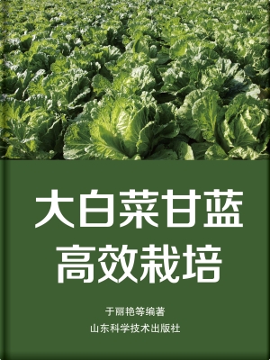 大白菜甘蓝高效栽培