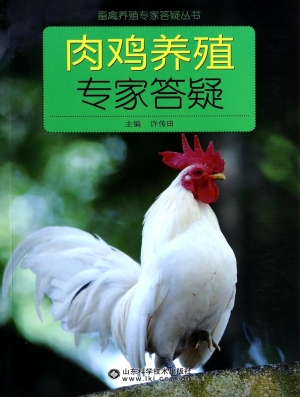 肉鸡养殖专家答疑