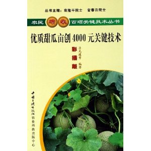 优质甜瓜亩创4000元关