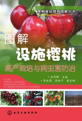 图解设施樱桃高产栽培
