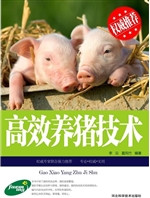 高效养猪技术
