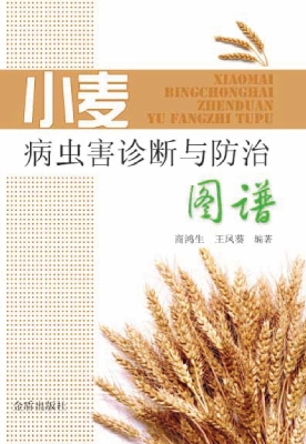 小麦病虫害诊断与防治