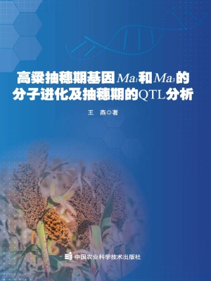 高粱抽穗期基因Ma1和M